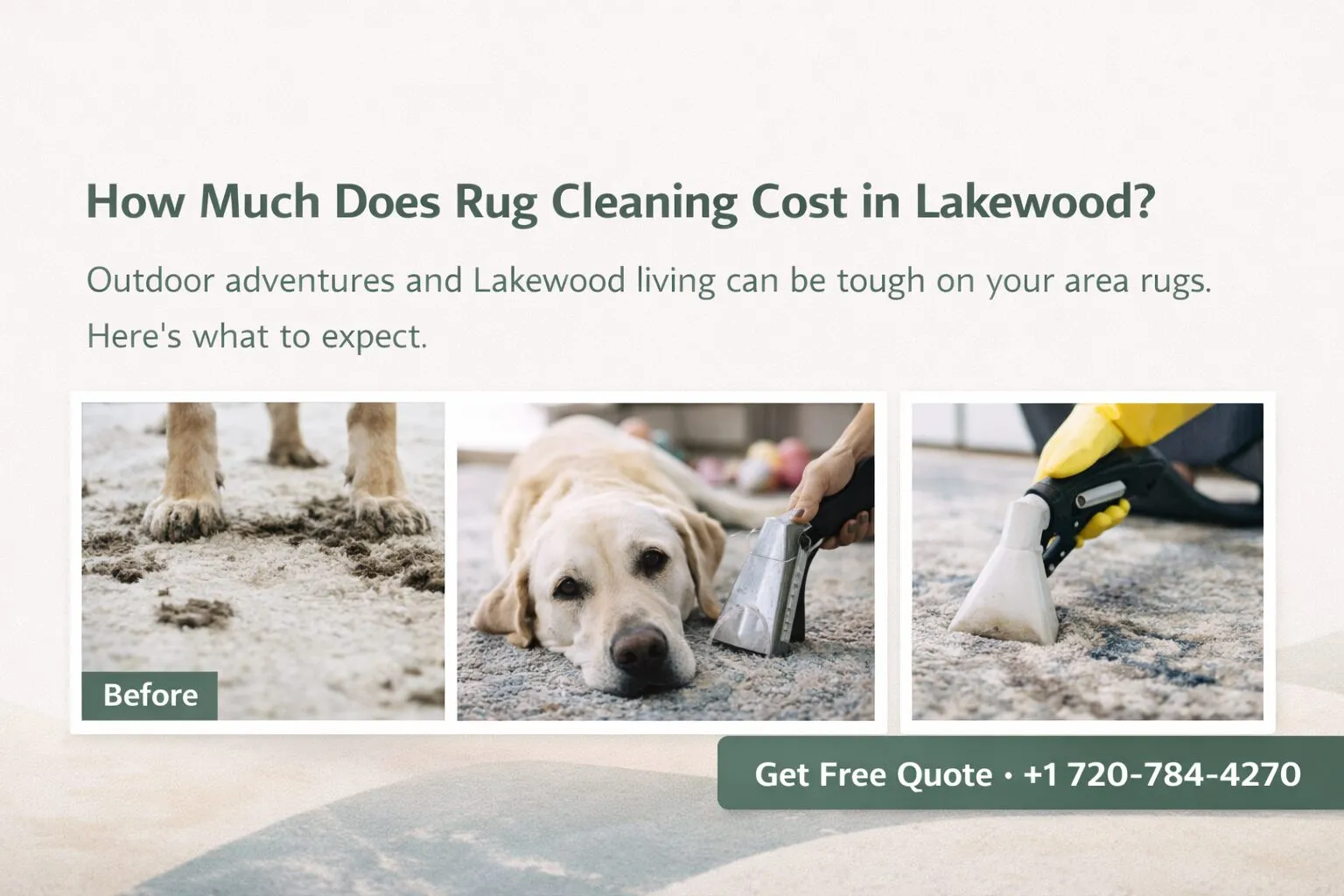 Rug Cleaning Cost in Lakewood